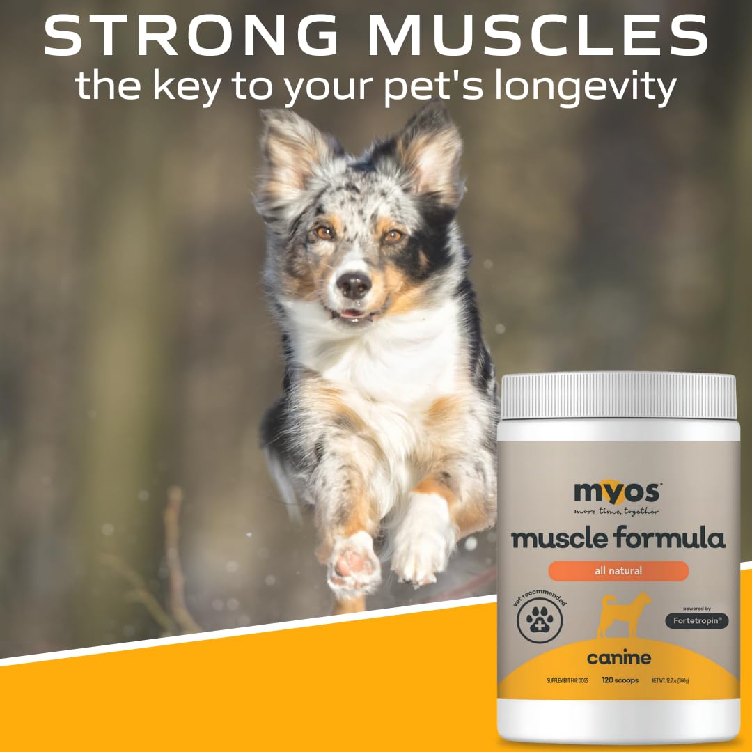All-Natural Dog Muscle Formula 360g T5661
