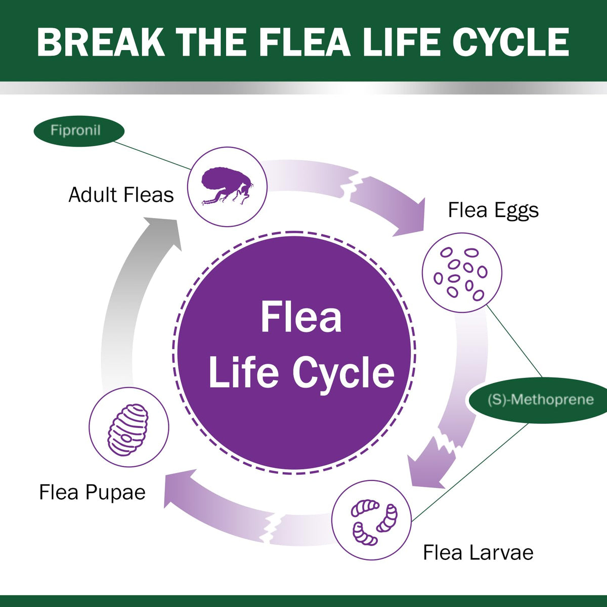 Flea and Tick Prevention for Cats Over 1.5 lbs F45502