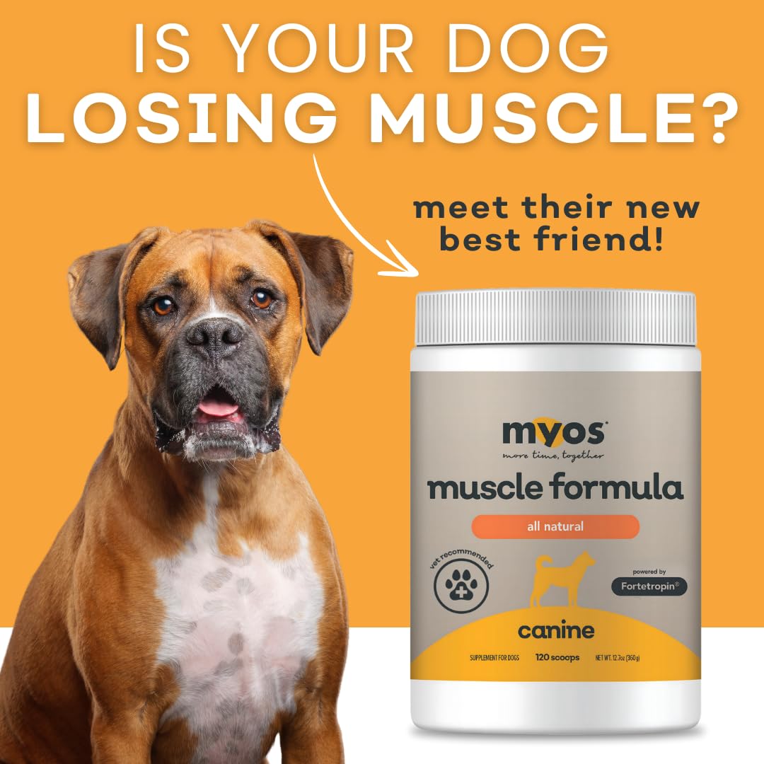 All-Natural Dog Muscle Formula 360g T5661