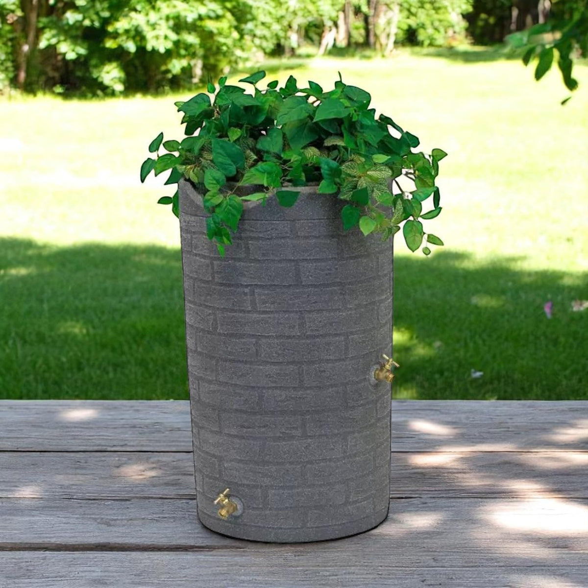 50 Gallon Resin Rain Barrel with Dual Brass Spigots D243