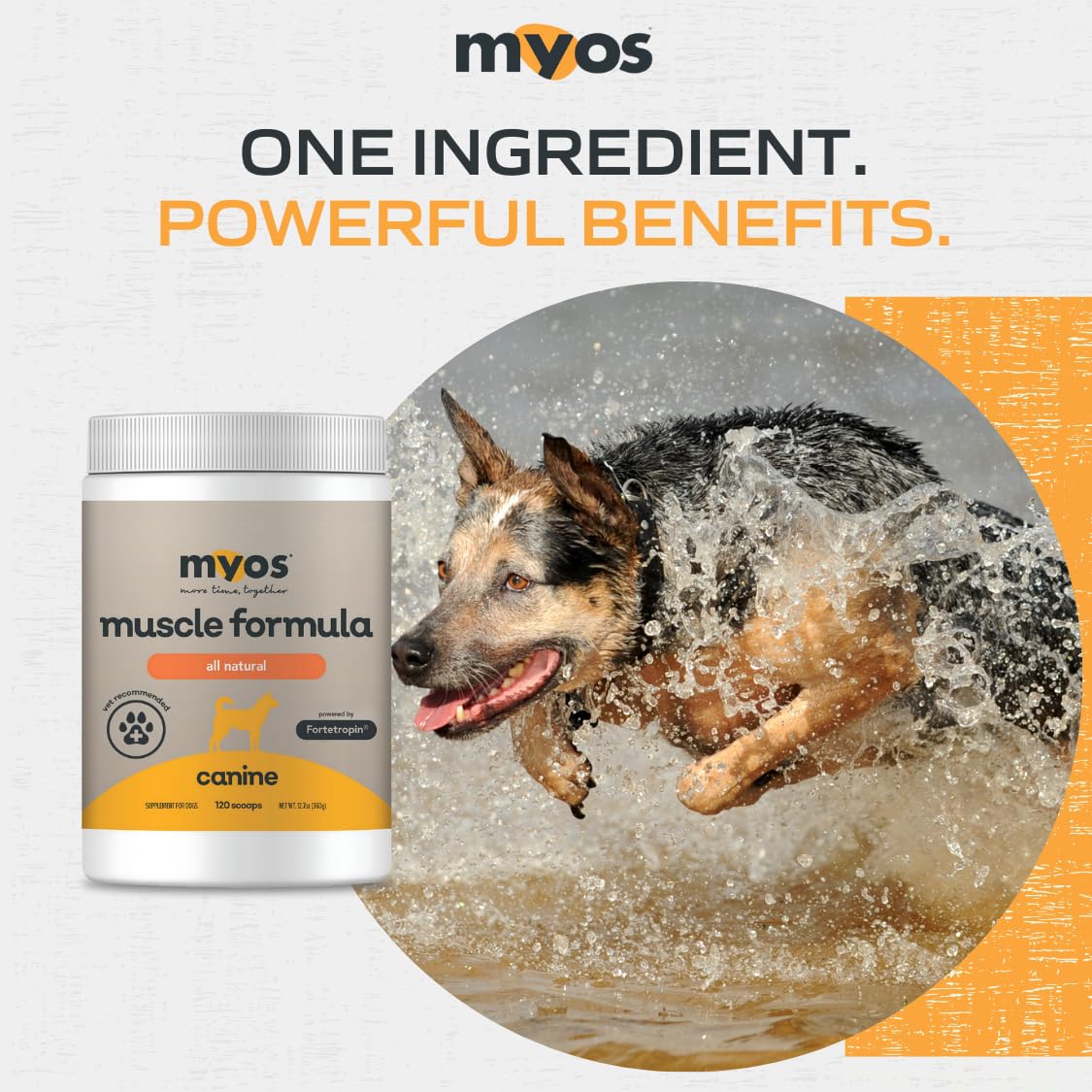 All-Natural Dog Muscle Formula 360g T5661