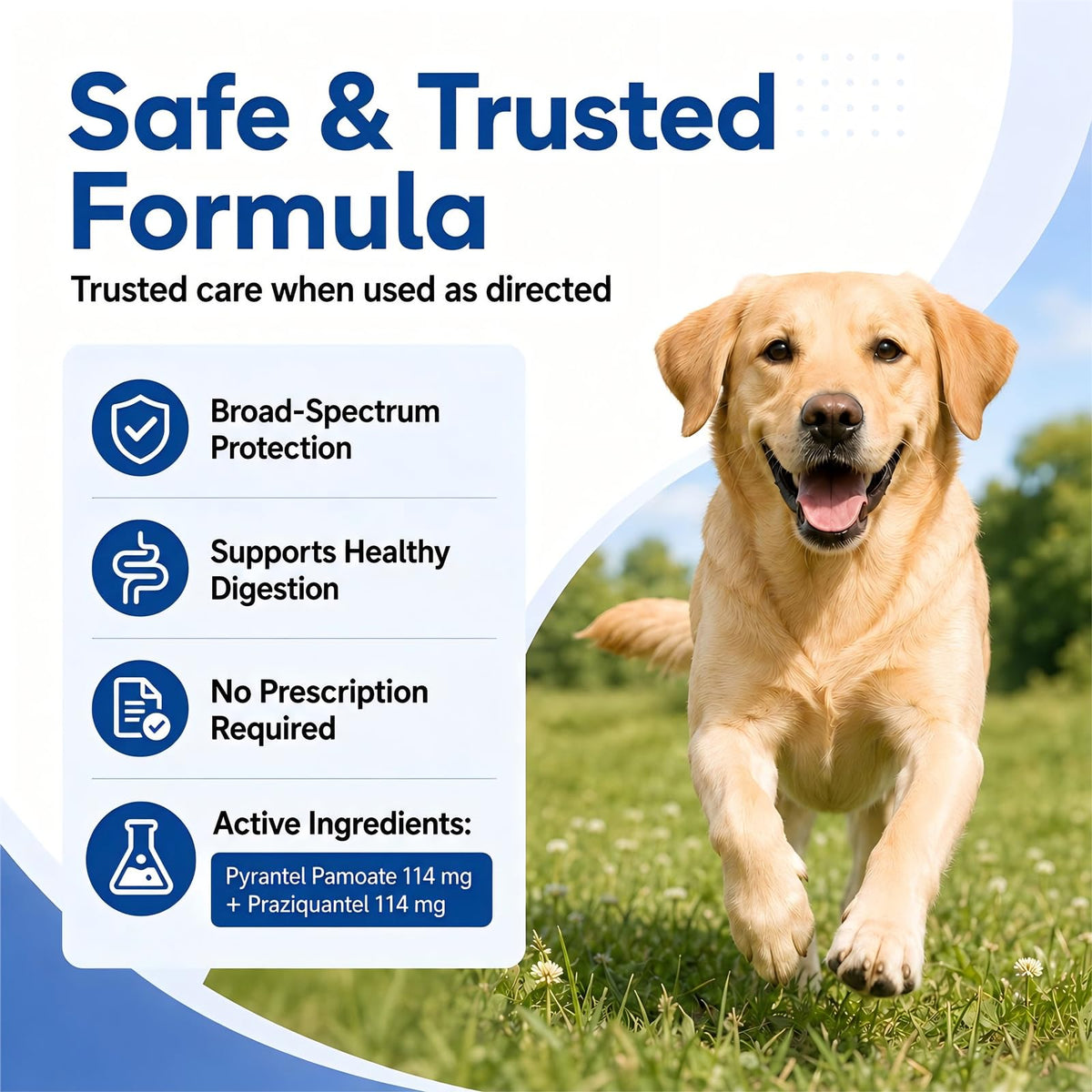 Dog Dewormer Tablets 48 Count B861813