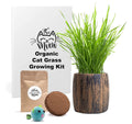 Cat Grass Kit Organic Seed & Soil for 4 Plantings S271