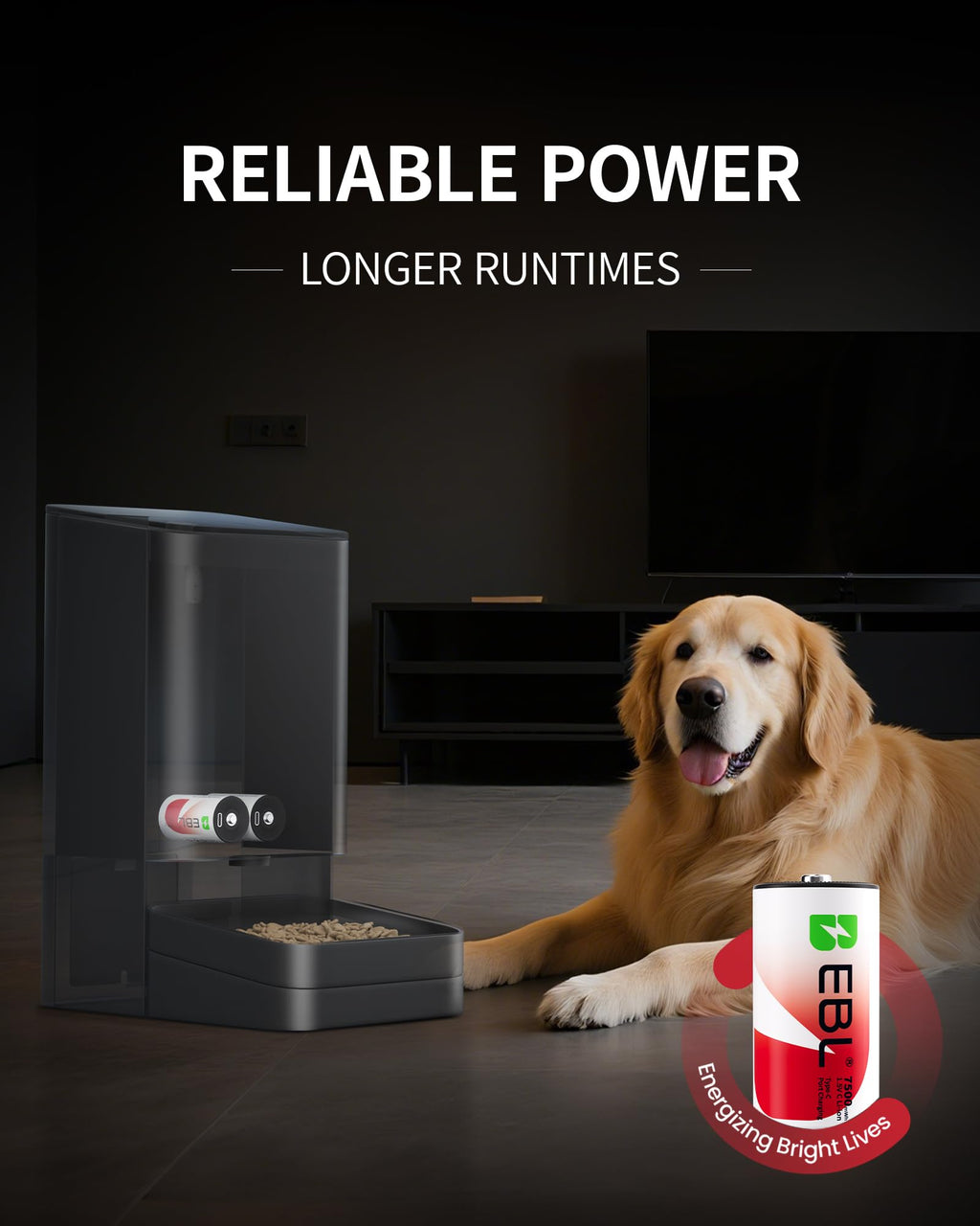 Rechargeable D Batteries 4 Pack Q980