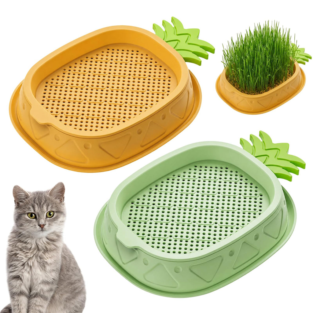 2 Pack Hydroponic Cat Grass Planter A206