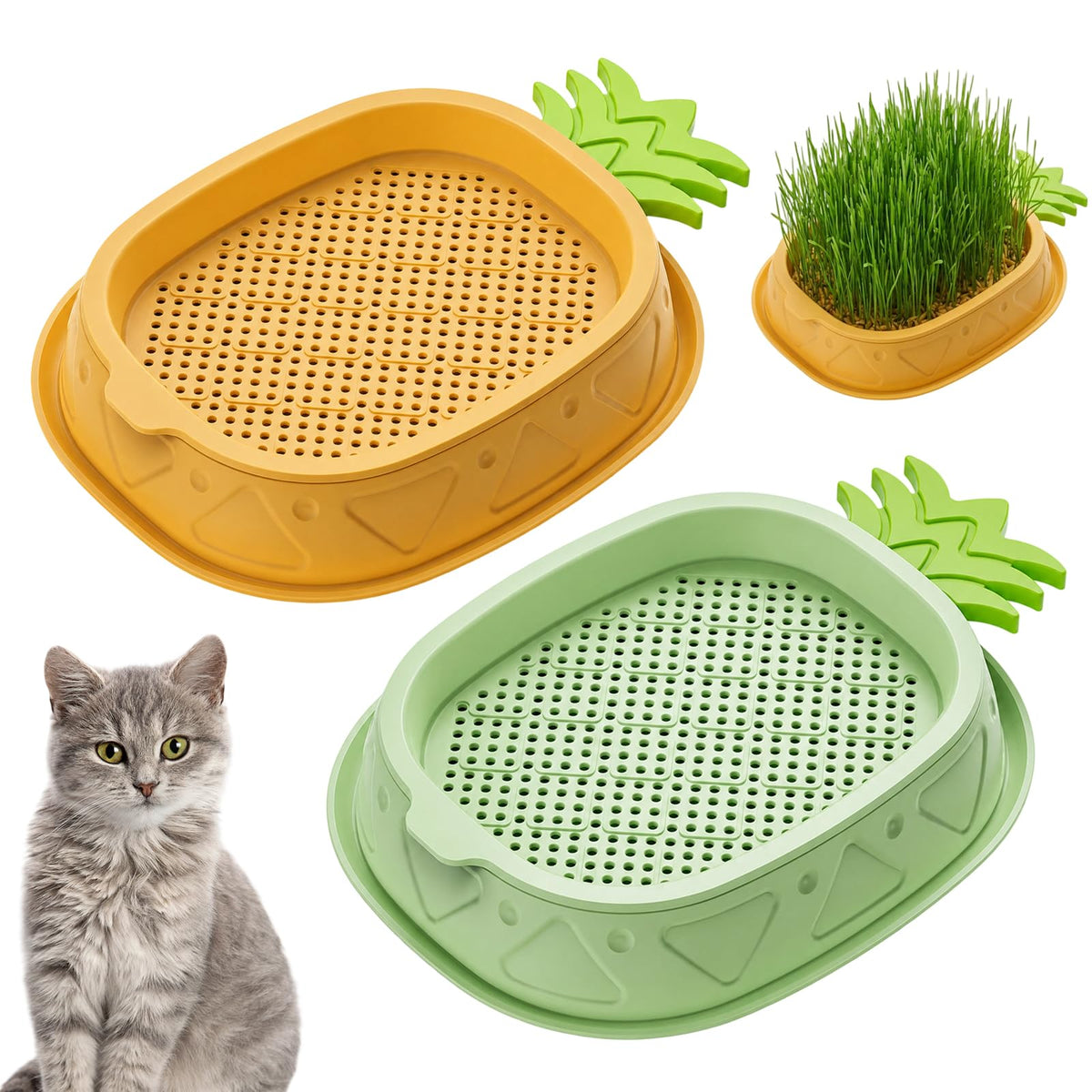 2 Pack Hydroponic Cat Grass Planter A206