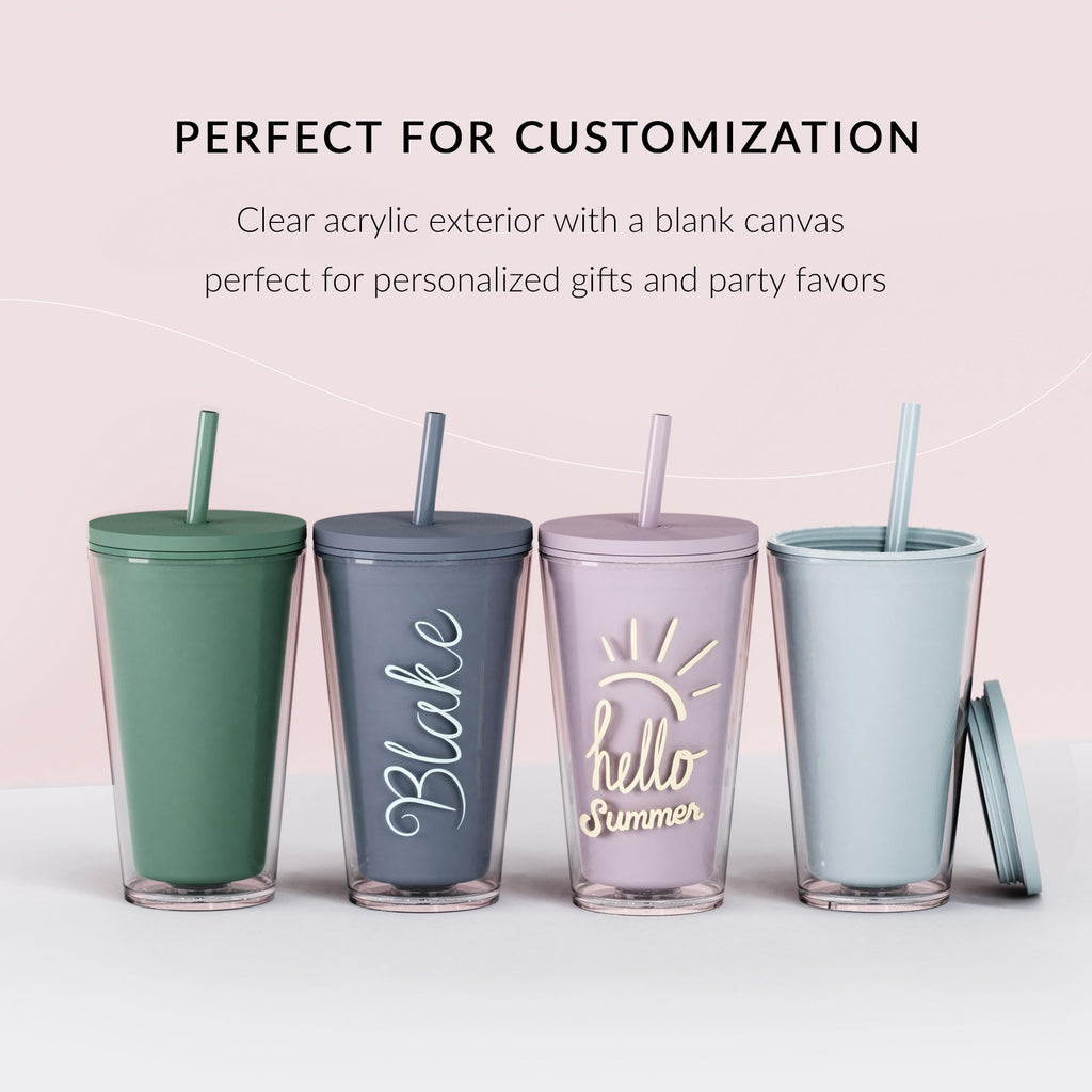 Clear 16oz Insulated Acrylic Tumbler with Lid and Straw, 2 Pack W5691