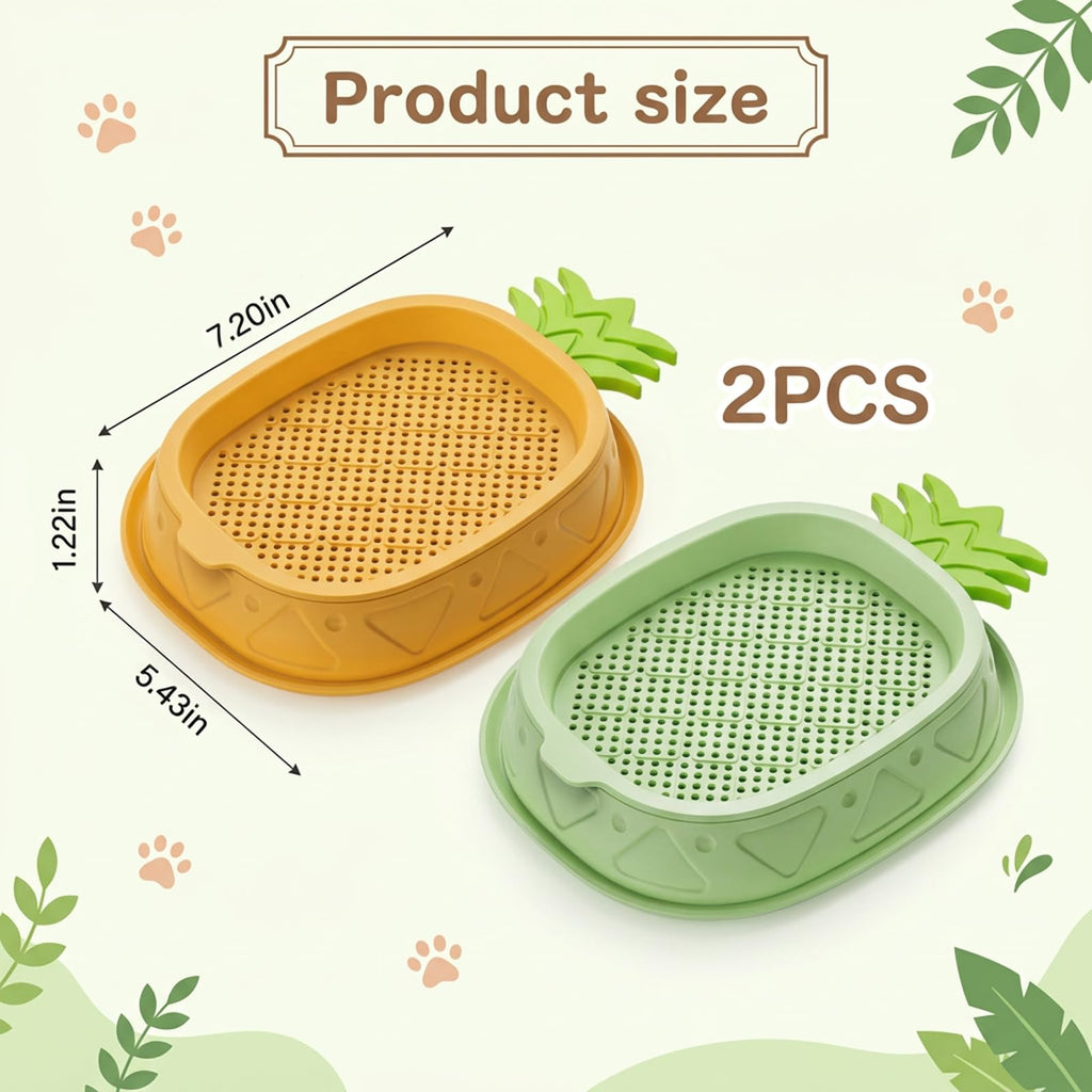 2 Pack Hydroponic Cat Grass Planter A206