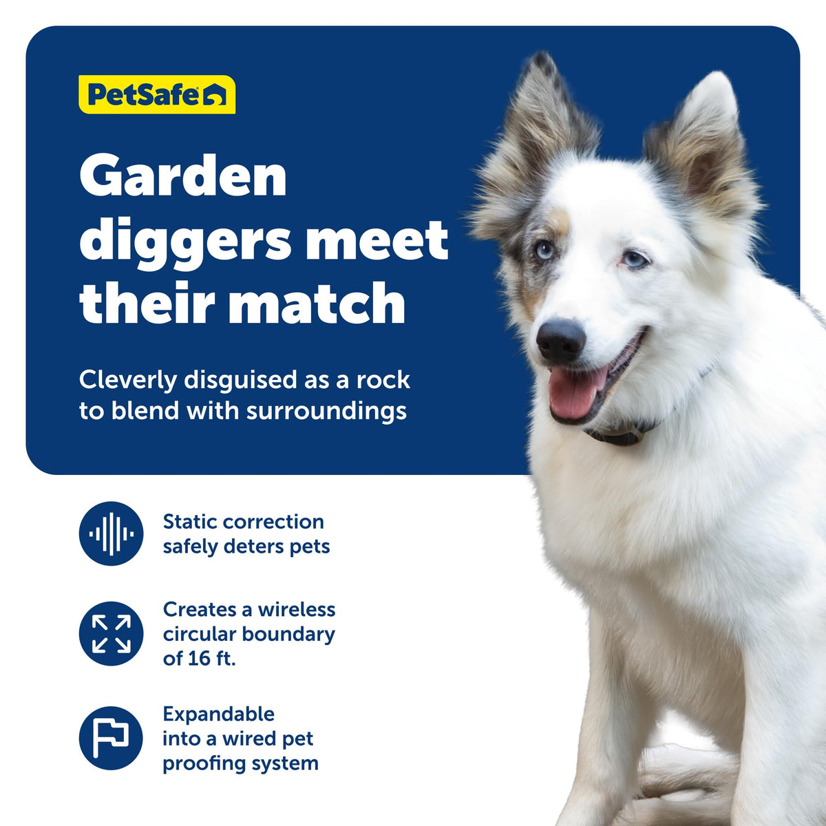 Wireless Outdoor Pet Barrier with Receiver Collar J982251