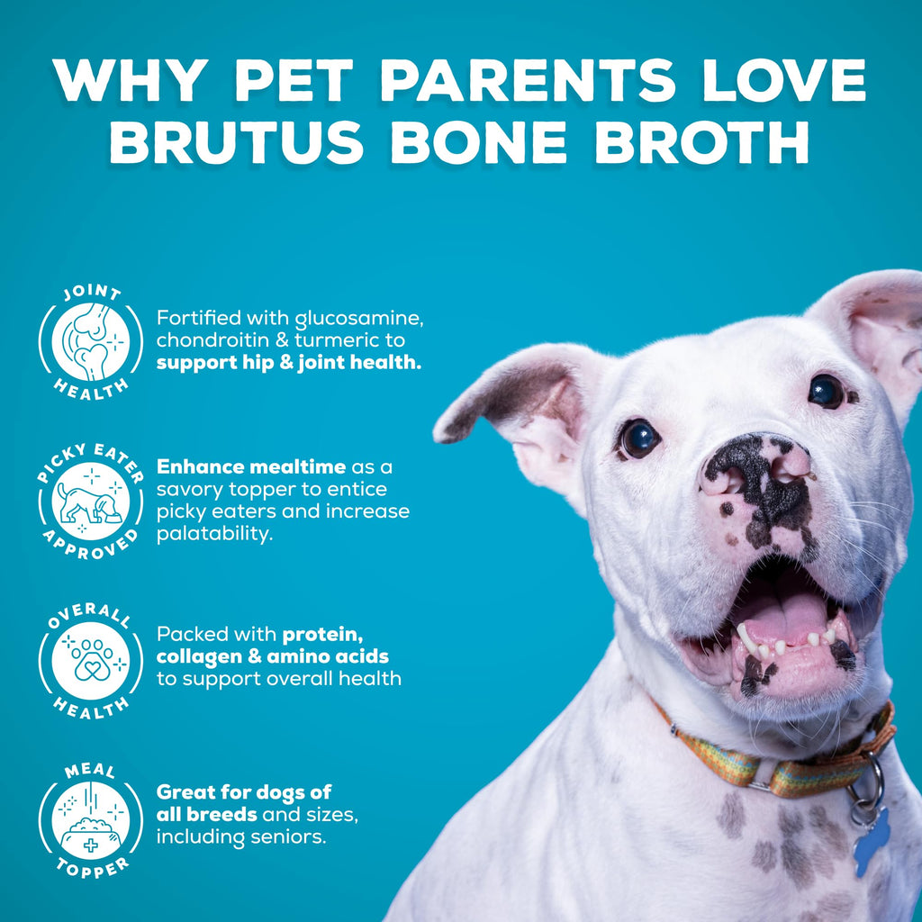 Instant Bone Broth Dog Food Topper Beef Flavor Pack of 2 R294