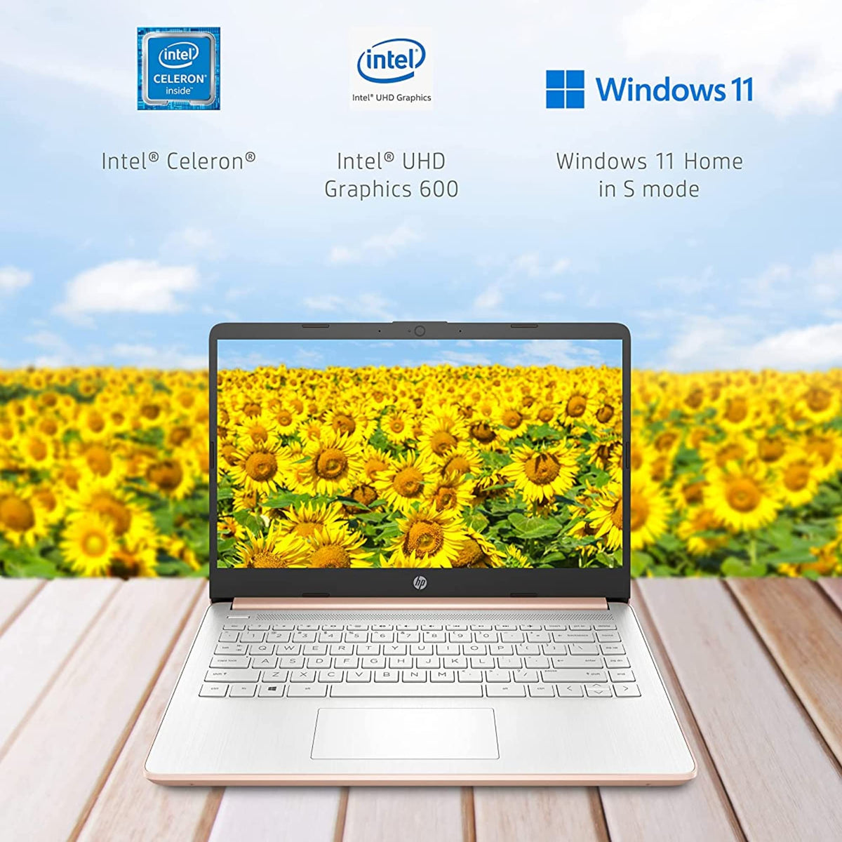 14'' HD Laptop Intel Celeron 4GB 64GB eMMC Pink Gold W18511