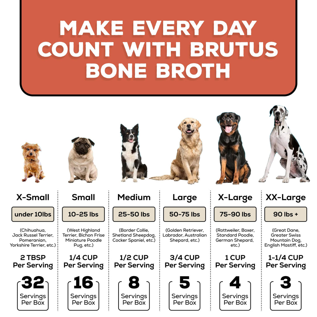 Instant Bone Broth Dog Food Topper Beef Flavor Pack of 2 R294