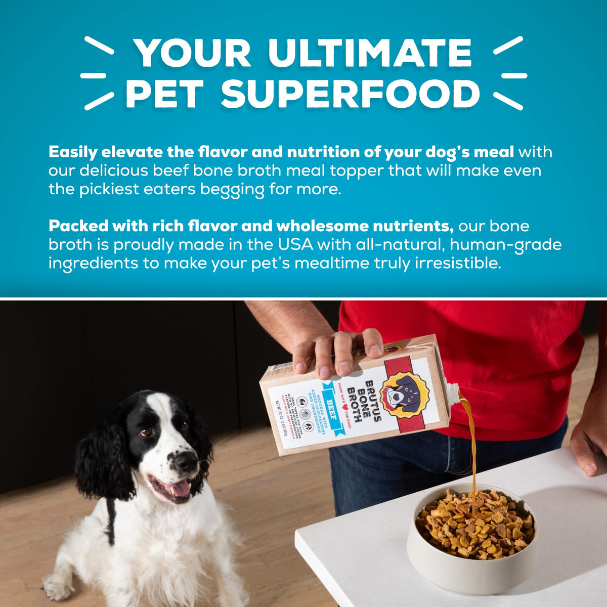 Instant Bone Broth Dog Food Topper Beef Flavor Pack of 2 R294