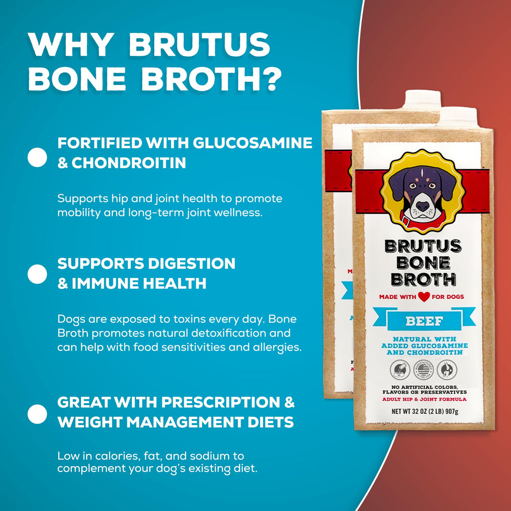 Instant Bone Broth Dog Food Topper Beef Flavor Pack of 2 R294