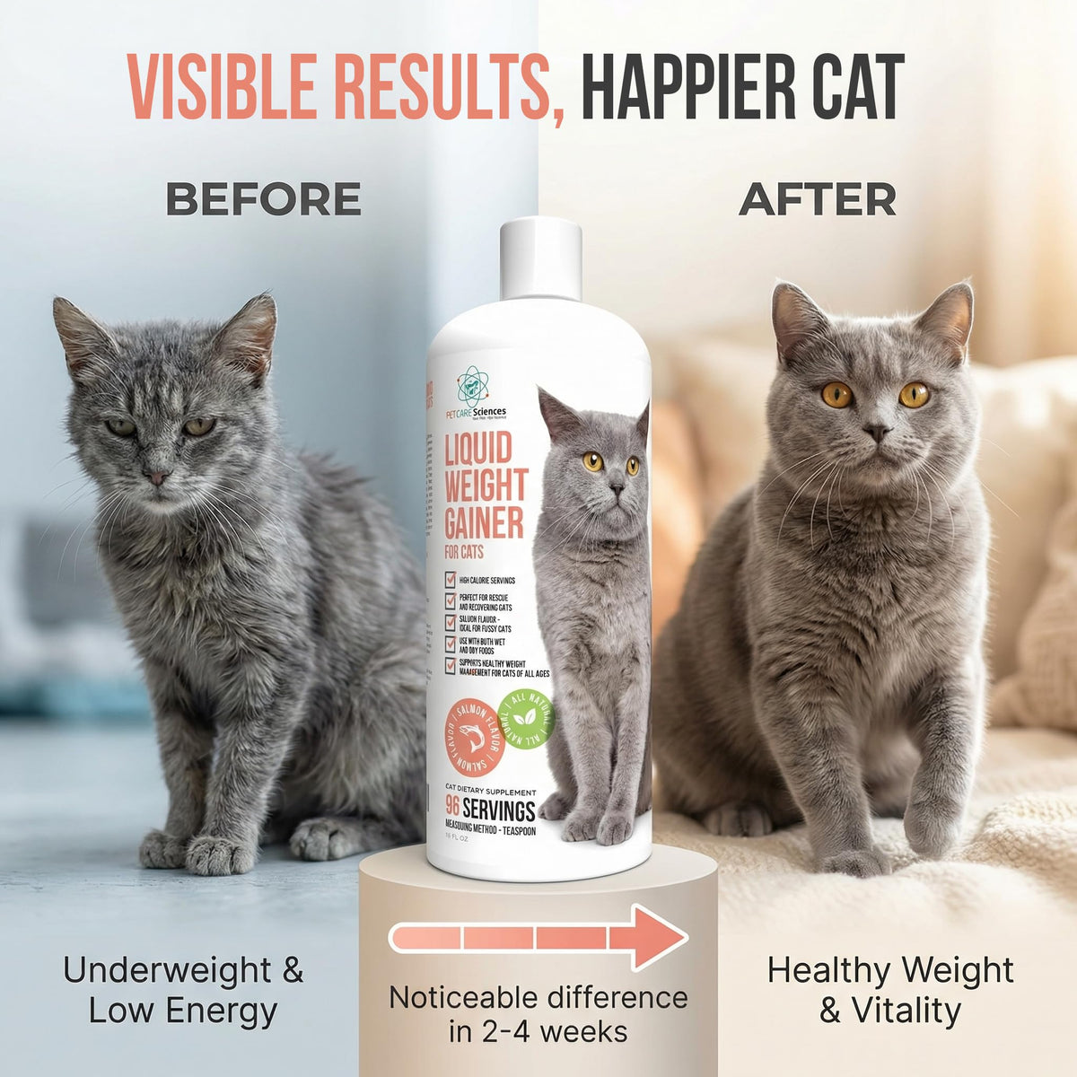 High Calorie Cat Weight Gainer Supplement Salmon Flavor 16oz J9854