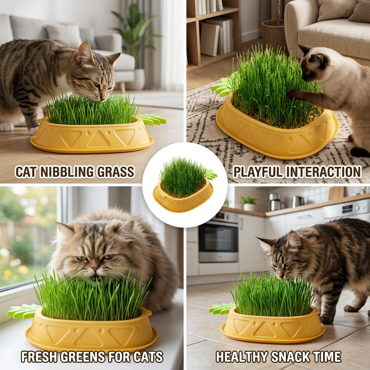 2 Pack Hydroponic Cat Grass Planter A206