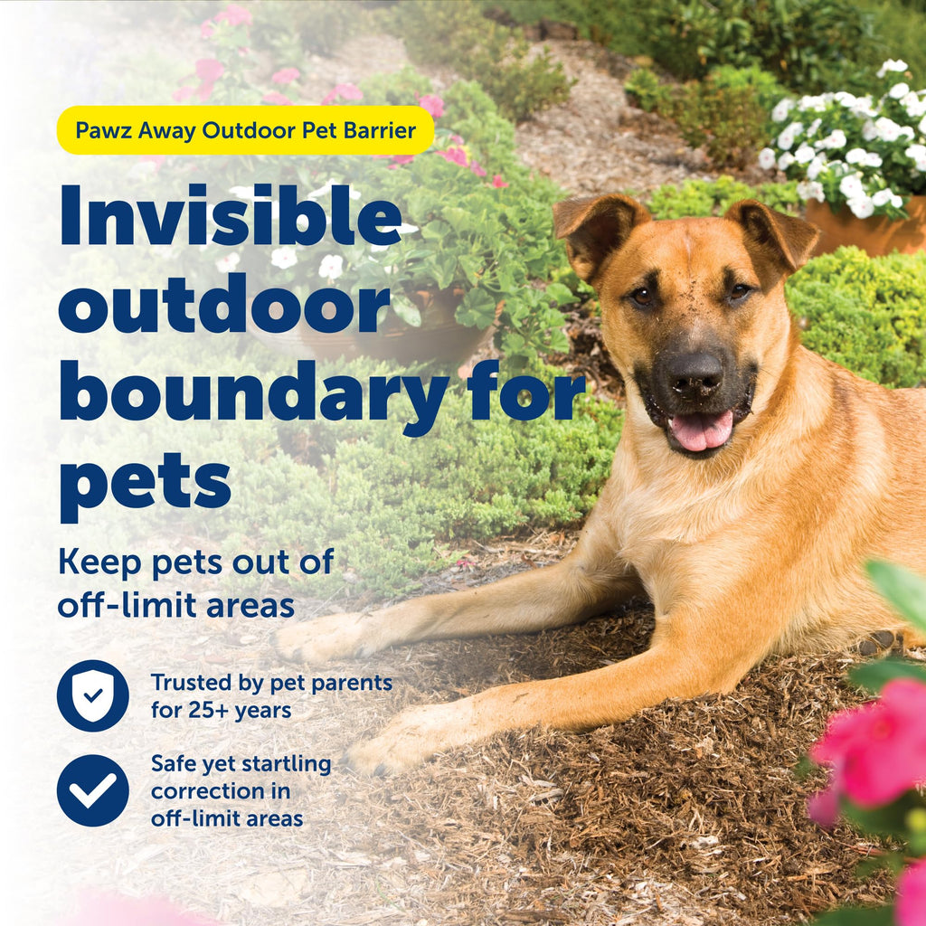 Wireless Outdoor Pet Barrier with Receiver Collar J982251