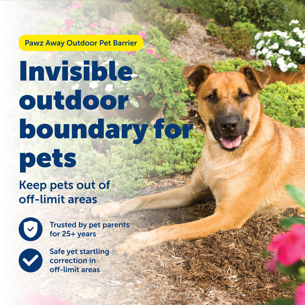 Wireless Outdoor Pet Barrier with Receiver Collar J982251